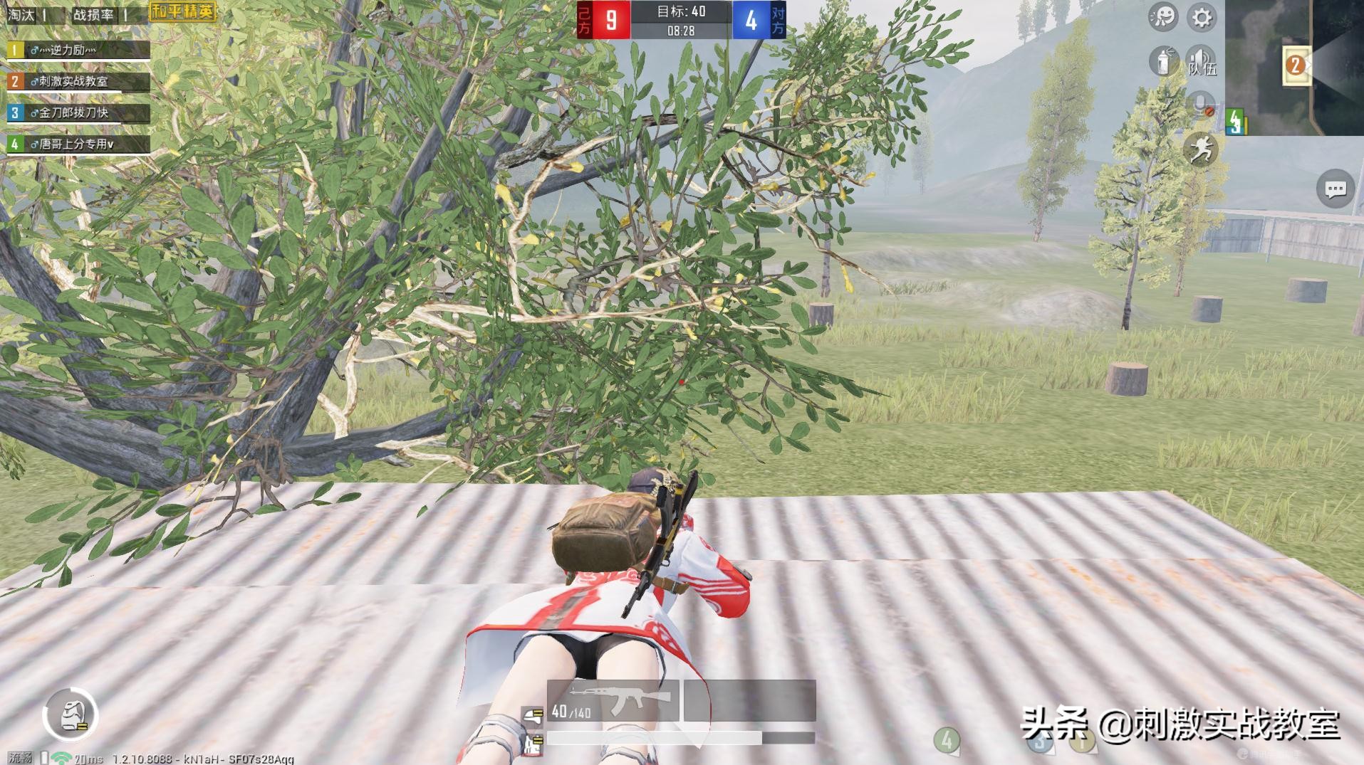 和平精英击倒和淘汰信息能调整吗,和平精英当队友被击倒该怎么救