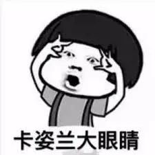 猫狗去泪痕产品的成分,猫狗药品营养品