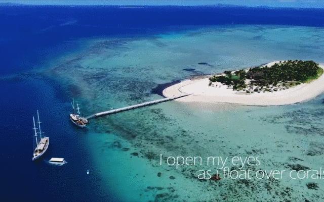 斐济旅游主岛购物,2021斐济购物攻略图解