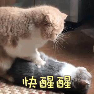 碧昂丝jayz格莱美,碧昂丝jayz卢浮宫mv