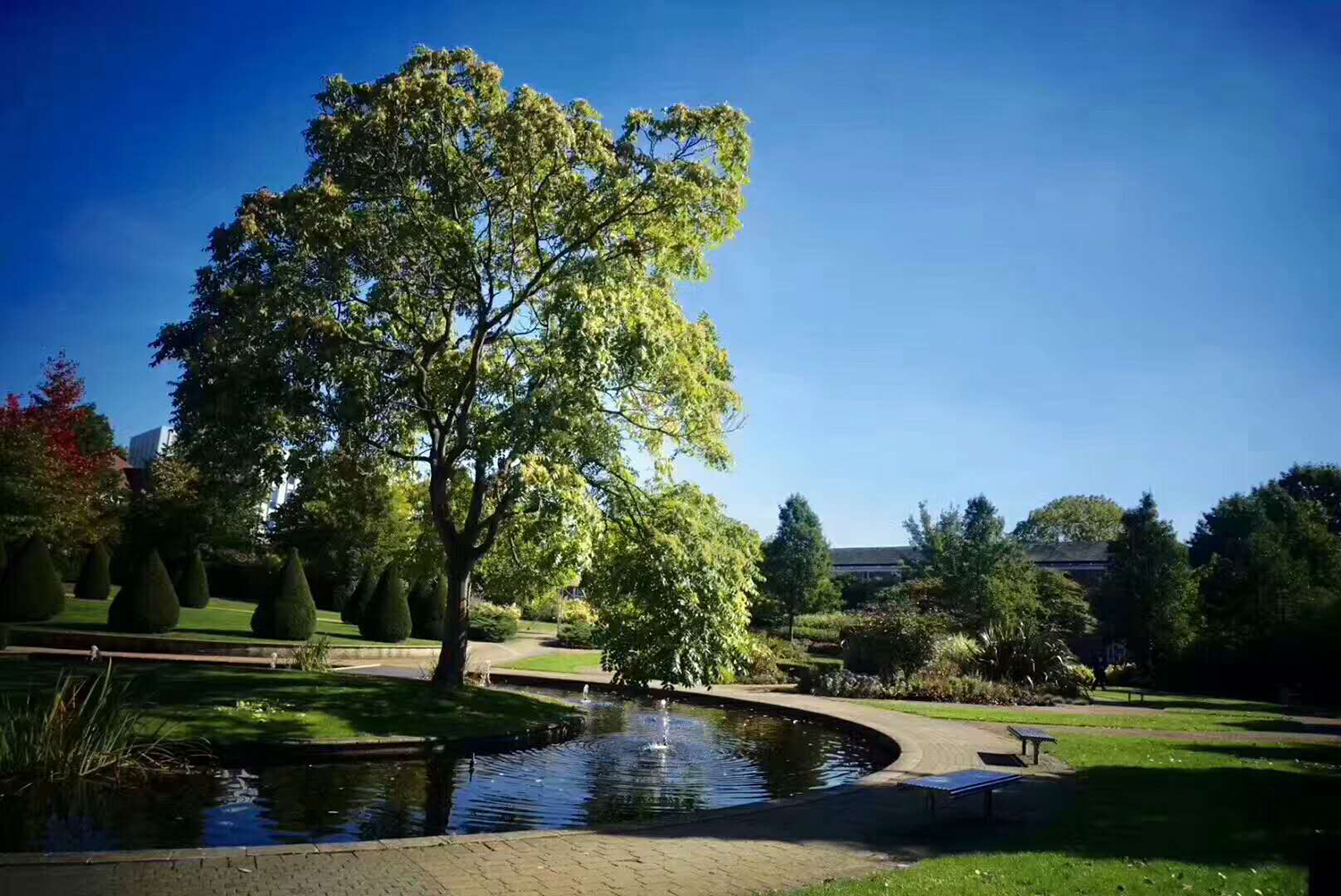 英国诺丁汉大学为什么那么容易进,诺丁汉大学相当于国内哪个档次