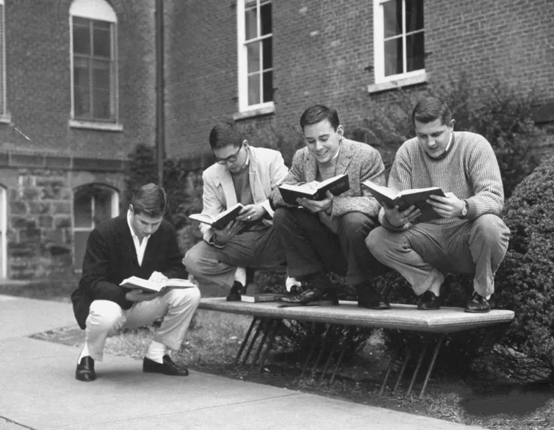 白袜子真的很白吗,白袜子吸引力很大吗