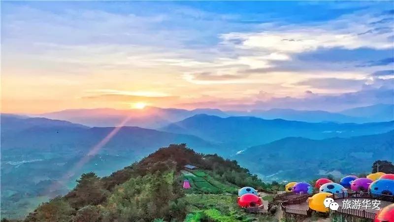 春风十里不如你,我在华安等着您