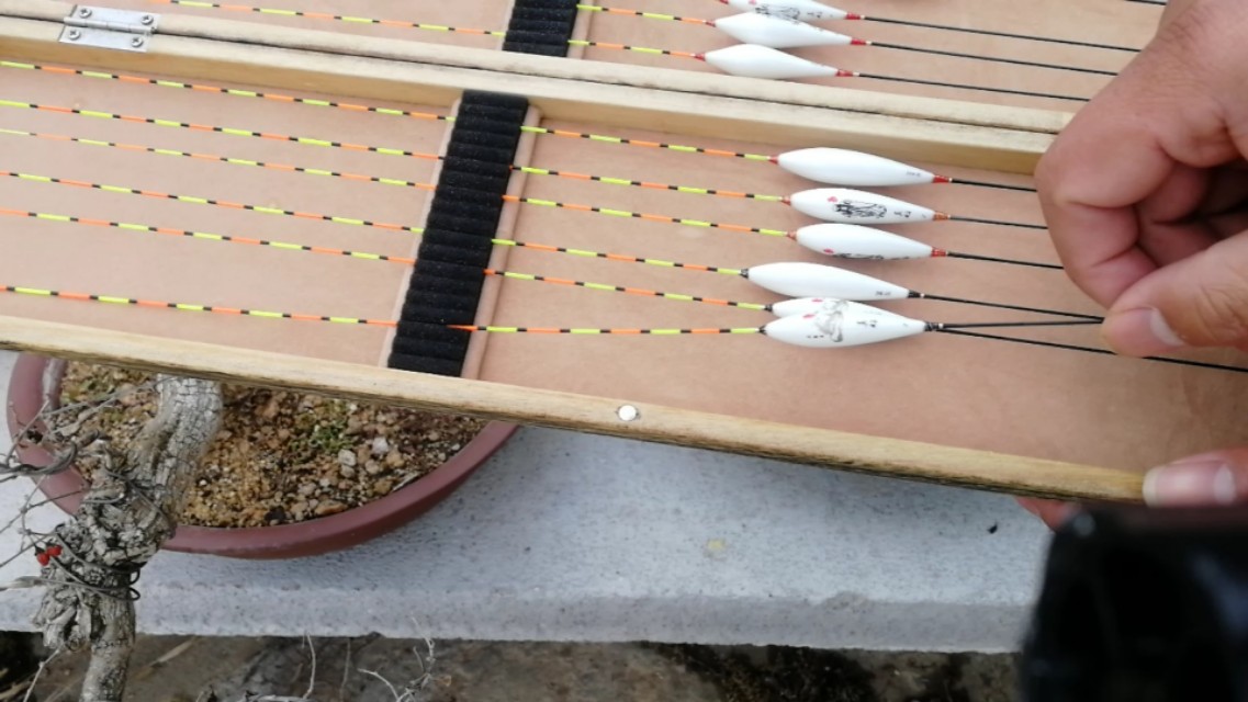 钓鱼打不中鱼的原因,钓鱼挡口的原因及解决方法