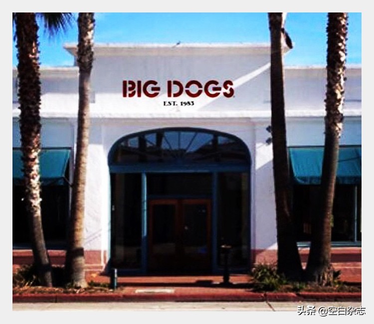 美国人的时尚偶像，竟然是一只狗