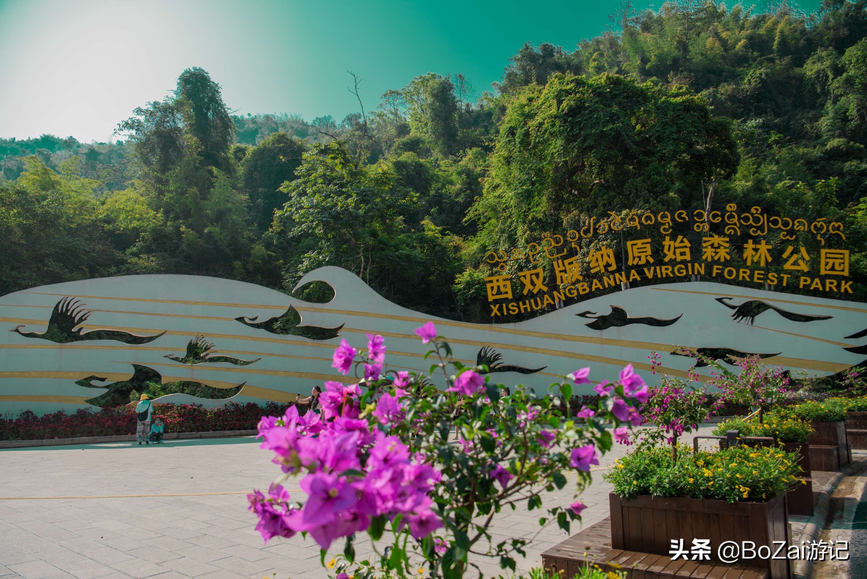 云南西双版纳到文山途经哪些景点,西双版纳适合6-12岁儿童的景点