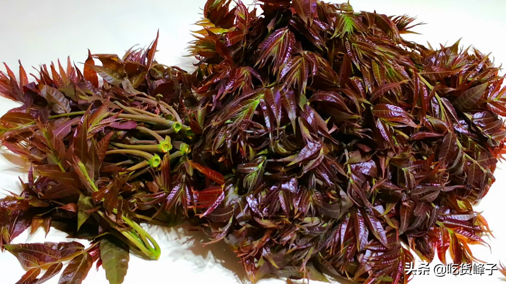 香椿三鲜饺子,香椿包饺子的各种吃法大全