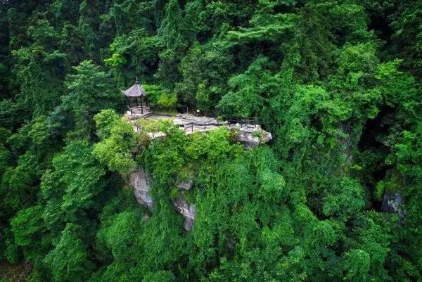 诗意人生不负青春的诗句,诗意深秋不负光阴不负卿