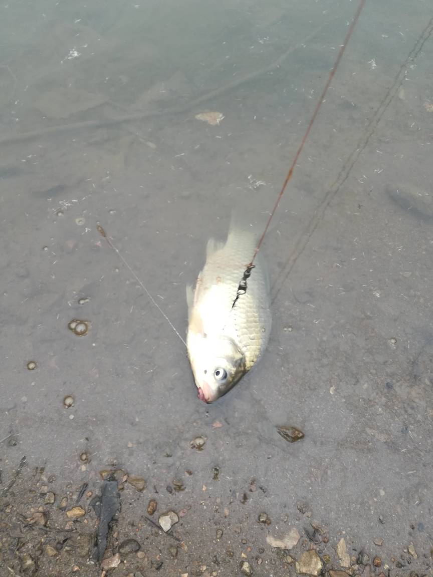 春季玩串钩,新式串钩的垂钓方法