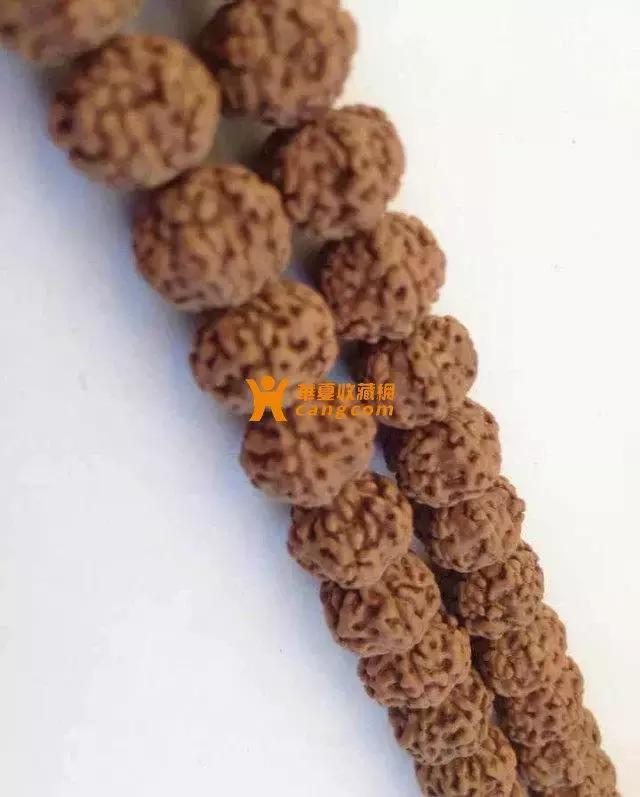 如何挑选一串好的小金刚菩提子,小金刚菩提最全纹路