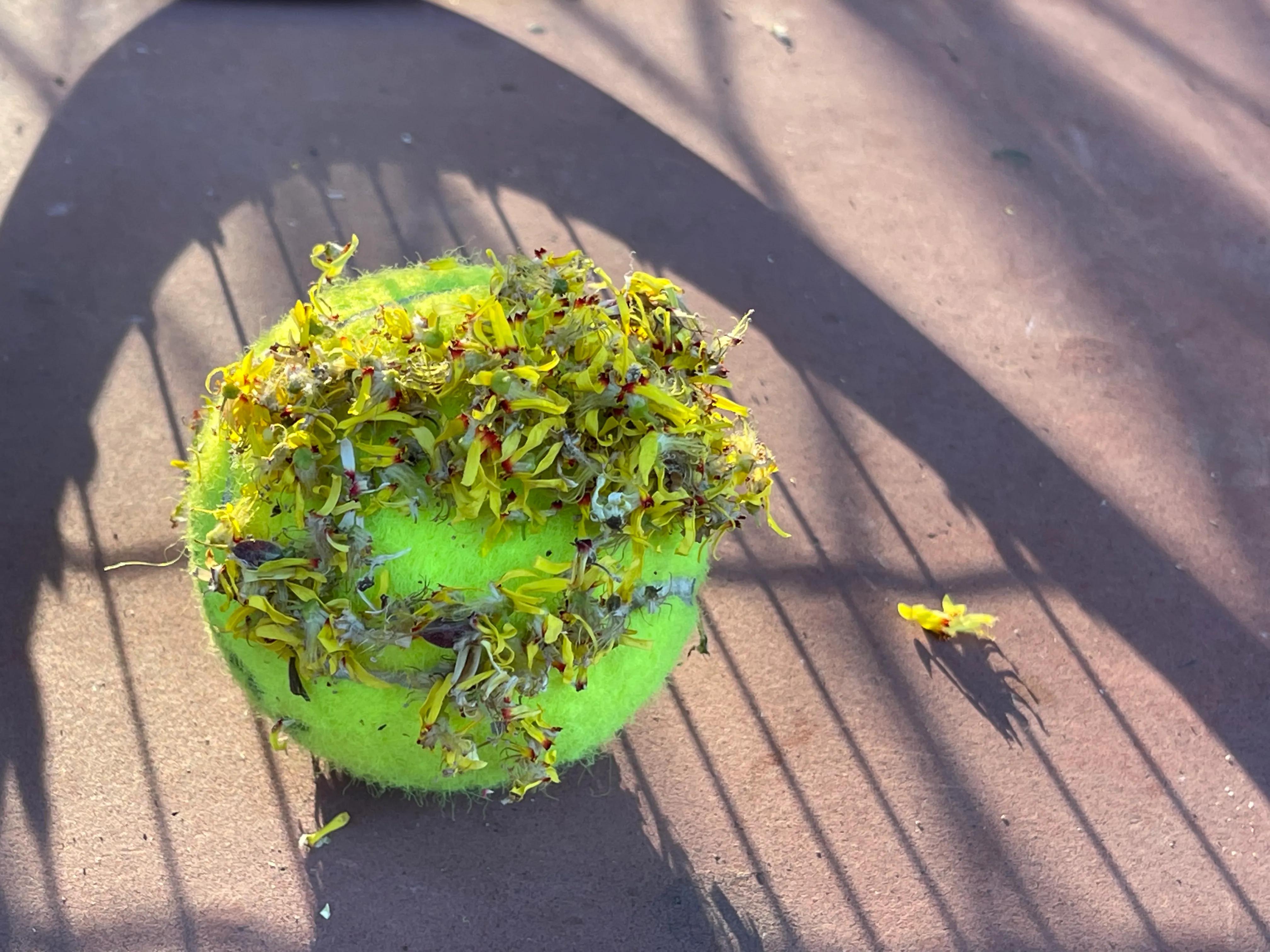 绉嬫棩绗旇鐩存挱,绉嬫棩绗旇