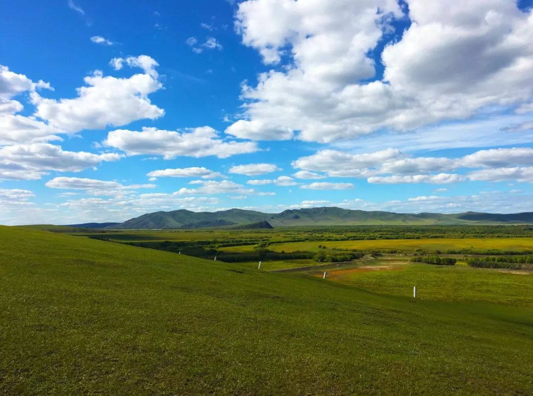呼伦贝尔不为人知的景点,呼伦贝尔地区道路风景