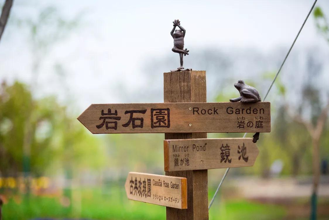 不用去维多利亚!南京溧水惊现布查特花园,文艺值爆表!