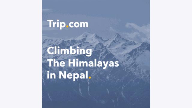 知名品牌logo的全新创意改造,2018年品牌更新logo