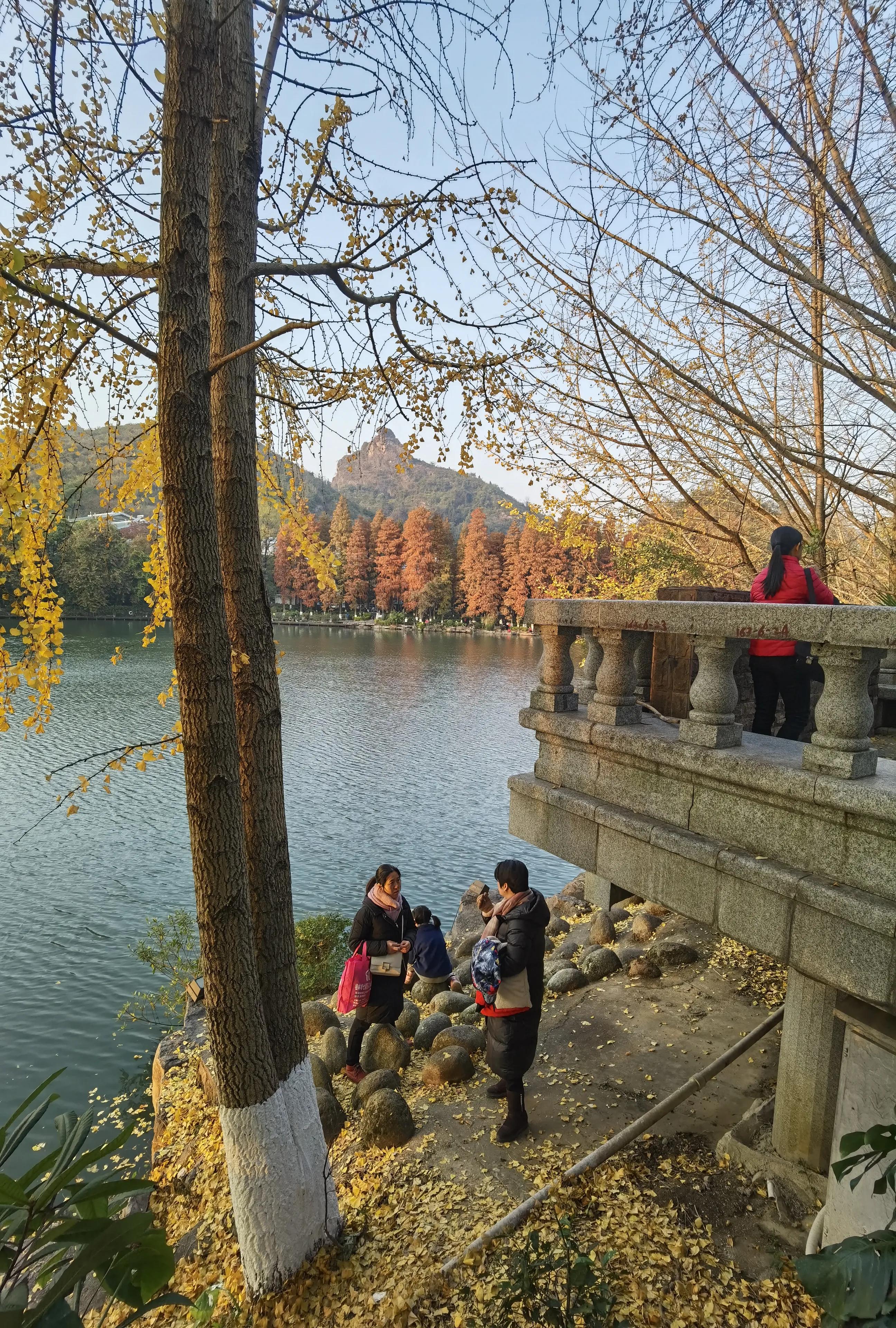 桂林：冬季到桂湖来看景