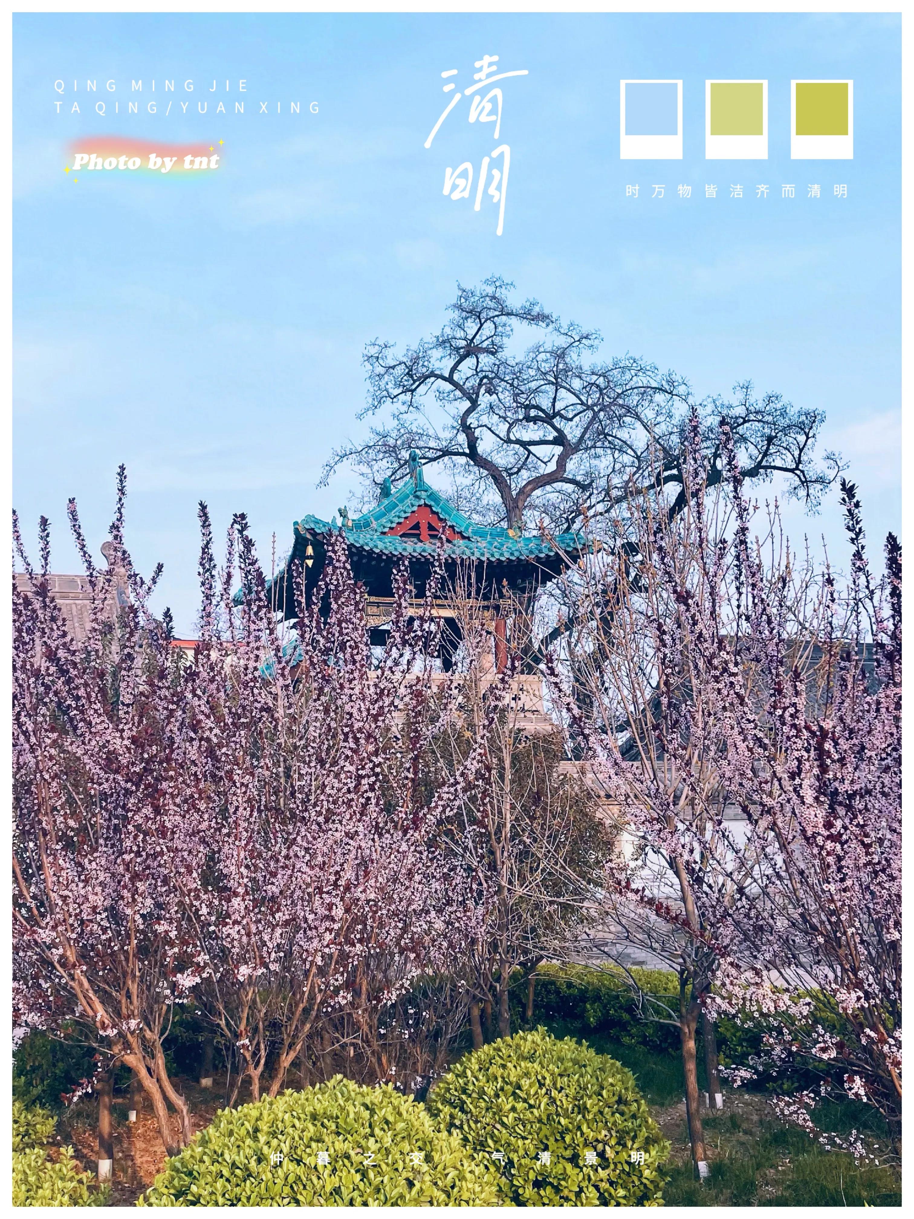 太原市育英中学姜洋,太原市育英中学梁敏