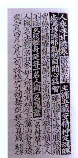 现在人参和古代人参,中国人参文化介绍