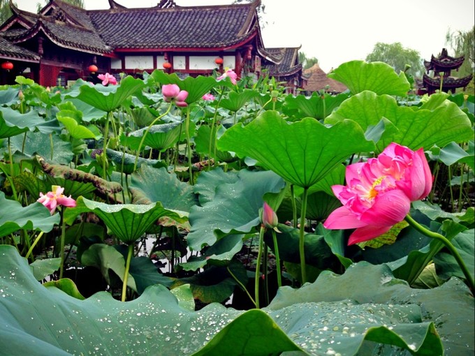 重庆记忆市井,重庆记忆满满