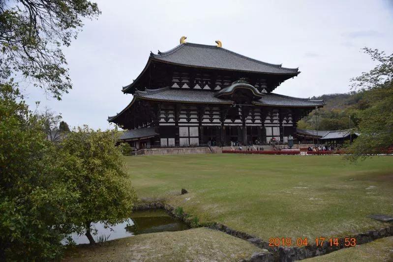 浪漫樱花日本进口,浪漫樱花2完整版