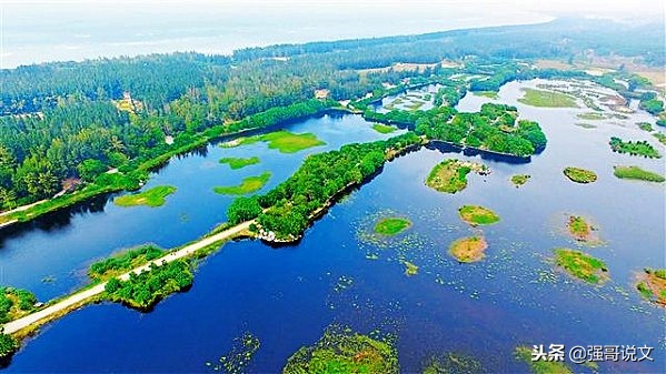 海南昌江十赋之六：海尾国家湿地公园赋