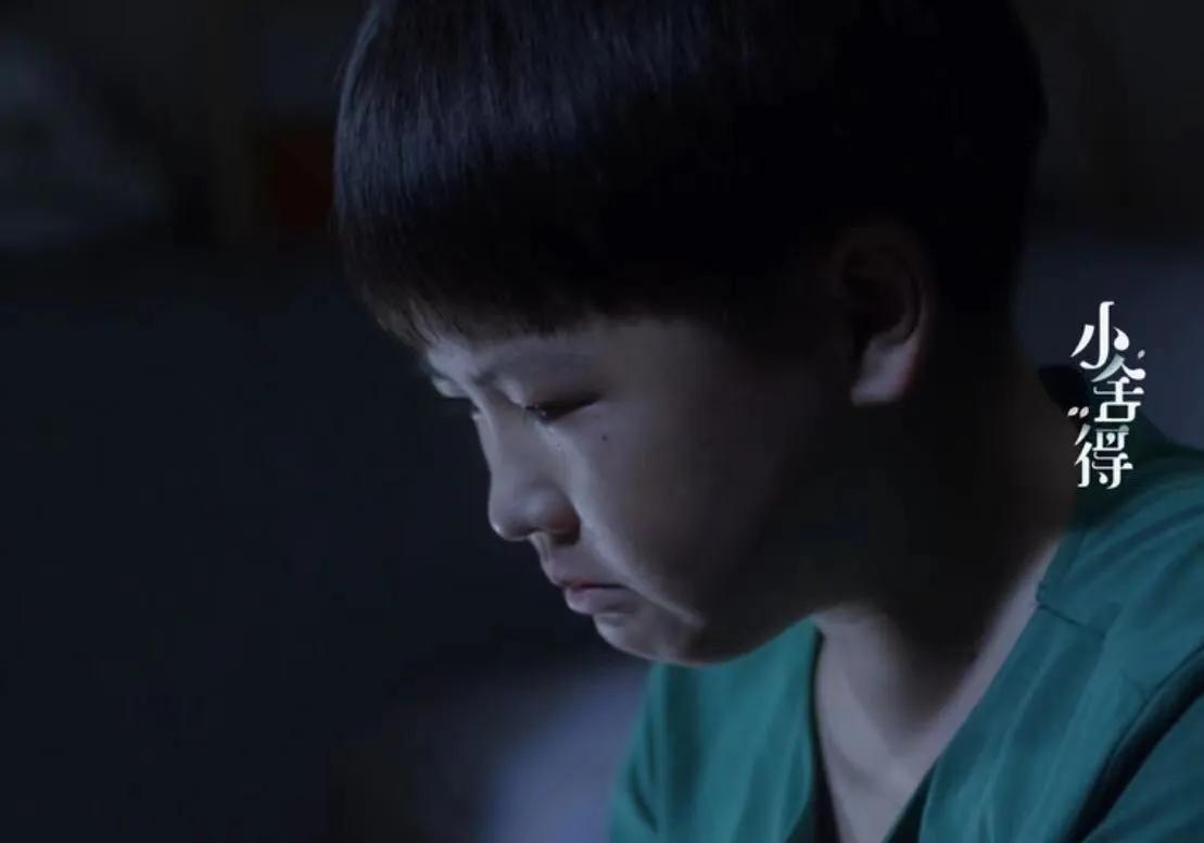 朝花夕拾对狗猫鼠的看法,朝花夕拾中狗猫鼠的温馨回忆