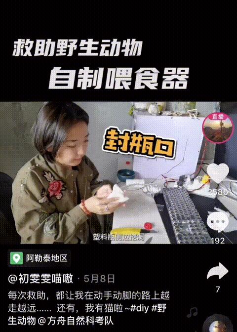 谁在保护金丝猴,谁在保护北极熊