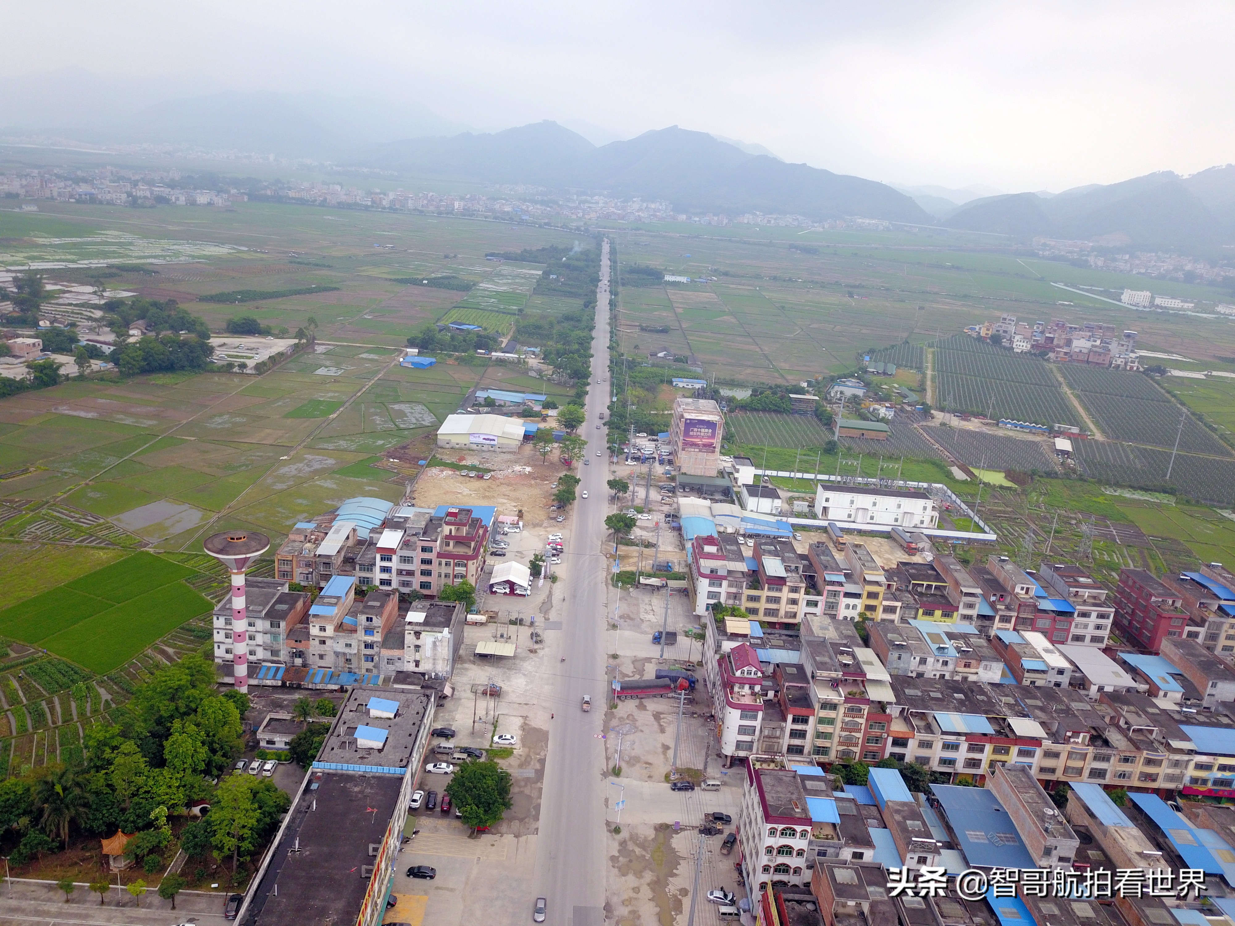 广西宾阳炮龙乡视频,宾阳炮龙之乡新闻