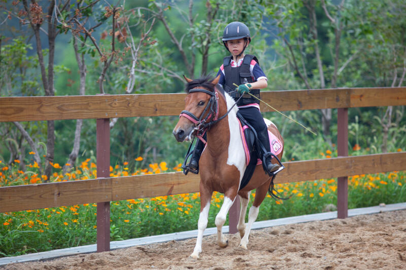鏉窞hellokitty涓婚涔愬洯,鏉窞hellokitty涔愬洯