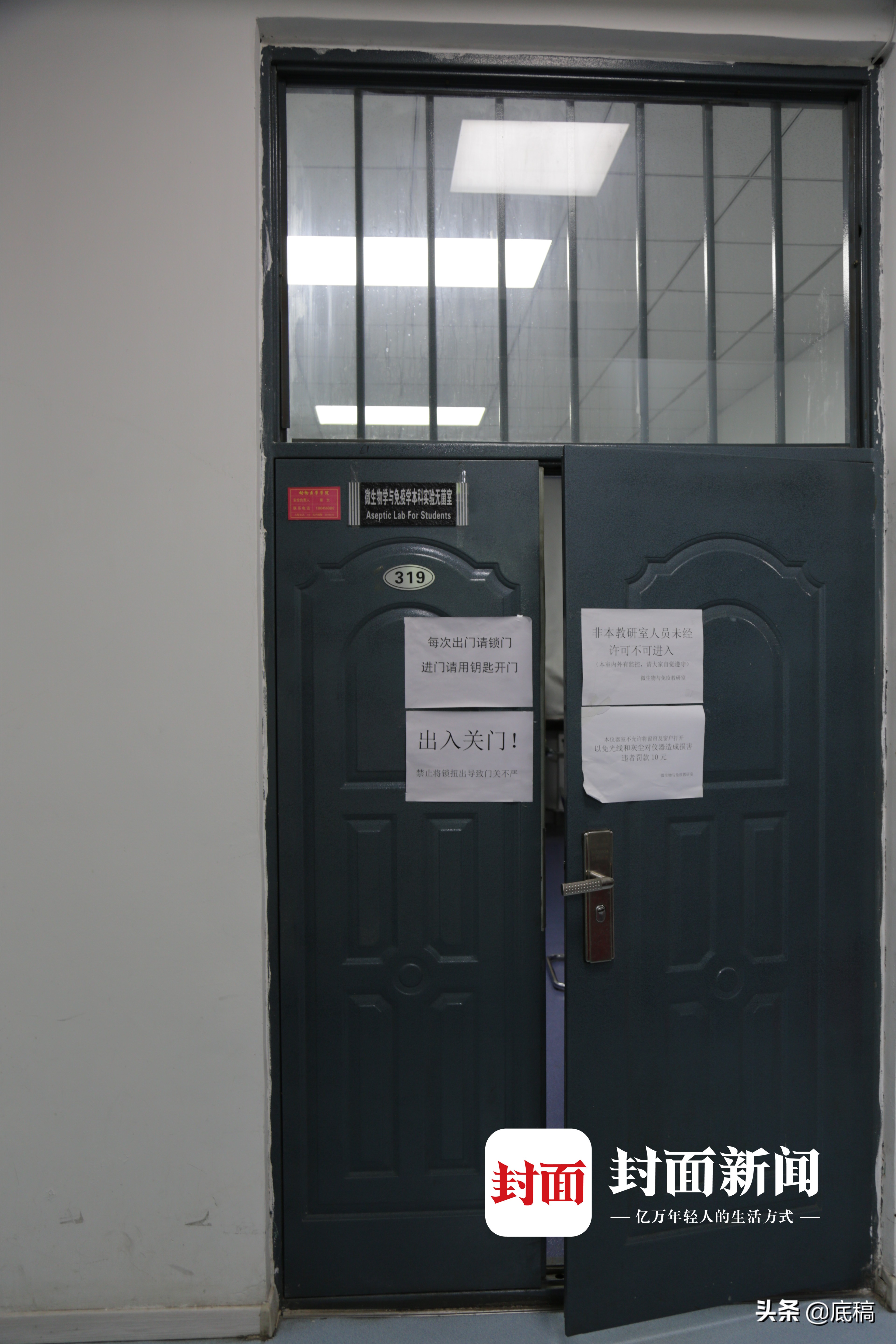 绝命毒师患癌教授,绝命毒师甲醛