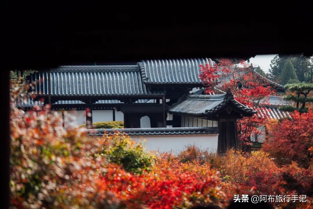 日本熊野古道拍摄,摄影师镜头下的景区