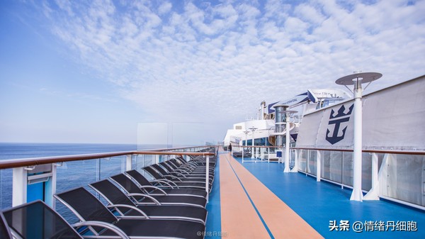 邮轮游选择哪个游轮好,邮轮旅游全攻略公主号