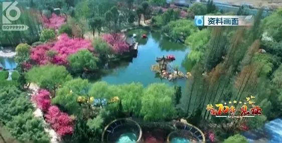 壮丽70年·见证|市城管局：当好春城“大管家”城市管理更高效