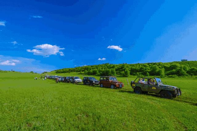 五一南京吃喝攻略,南京吃喝玩乐一天的攻略