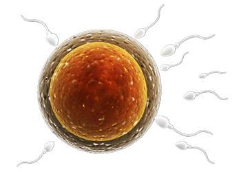 写给想生孩子的人,写给即将生孩子人的话