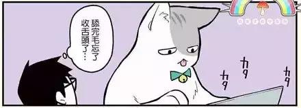 假如自己变成猫是什么体验,从人类变成猫是什么体验