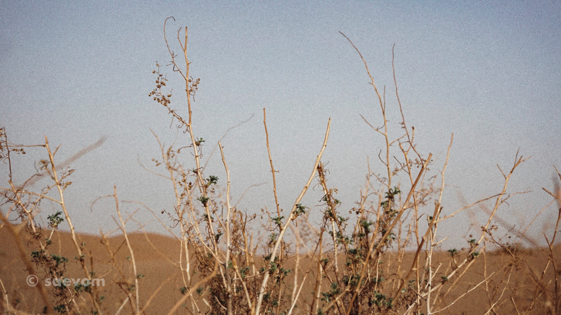 宁夏腾格里沙漠游玩攻略,宁夏沙漠旅行攻略