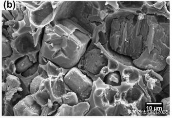 三聚氰胺纤维金雨薇学习翻译