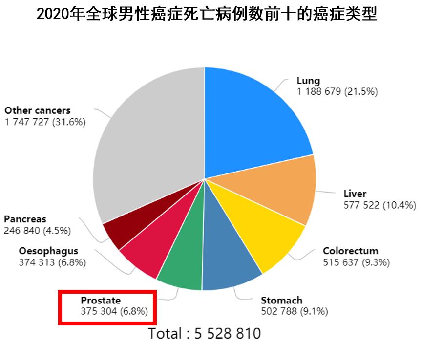 前列腺癌靶向药综述,前列腺癌指南必背知识