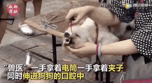 “割声带、截肢、电击,当爱变成我的噩梦”