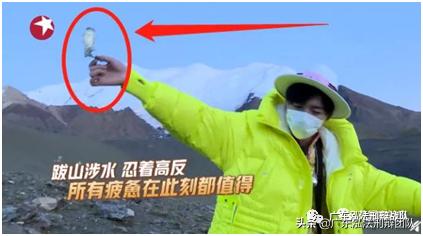 水母雪兔子为什么不能采摘,非法采摘水母雪兔子会有什么后果