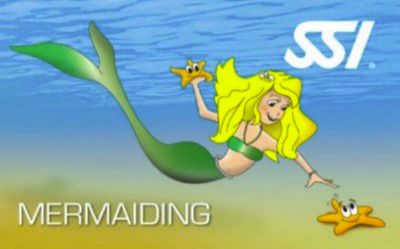 美人鱼水下课程,美人鱼海洋课程
