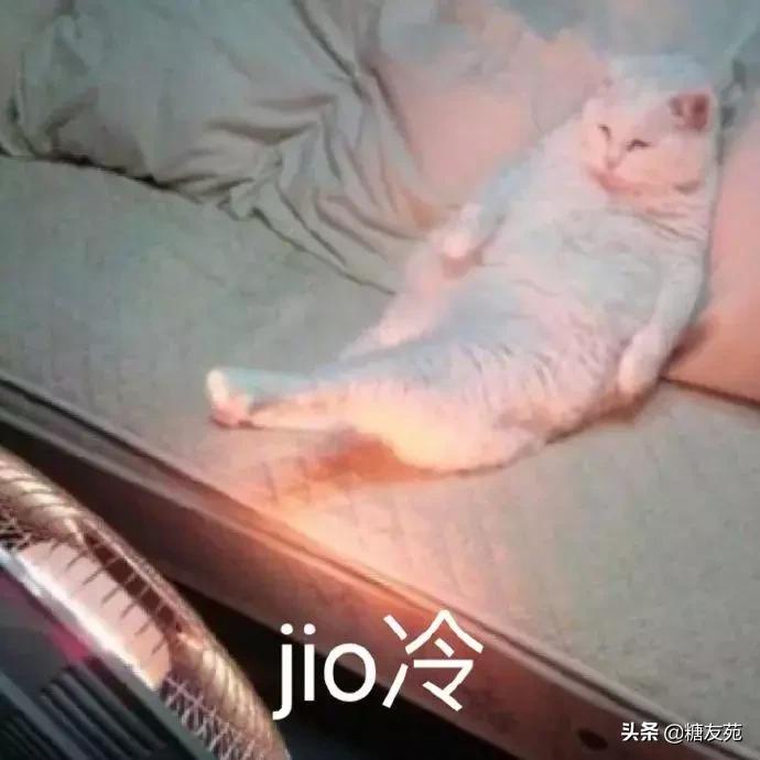 足部按摩师,足部按摩仪送老人