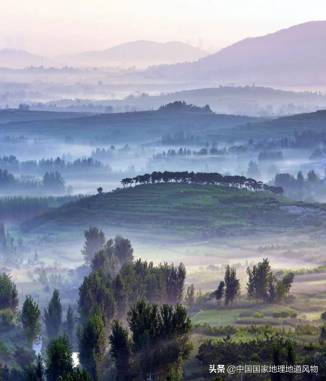 济南青岛临沂,青岛和临沂差距有多大