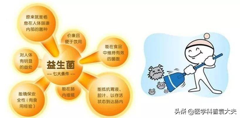 益生菌作用于人体分为几类,益生菌适用于哪些人