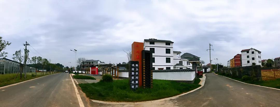 砥砺奋进新征程总结,乡镇乡村振兴先进事迹材料