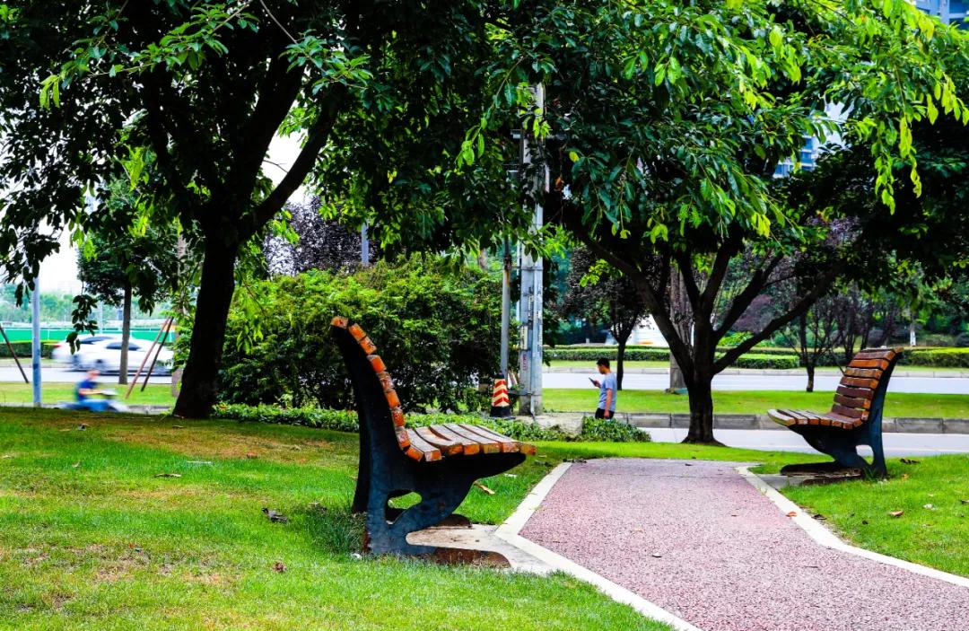 天府大道改造最新消息,为什么天府大道修到仁寿就变弯了