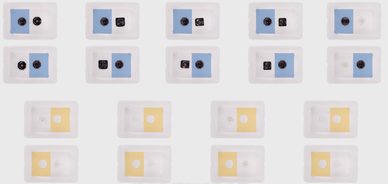 家中厨房蟑螂多怎么消除,家中有蟑螂怎么一网打尽