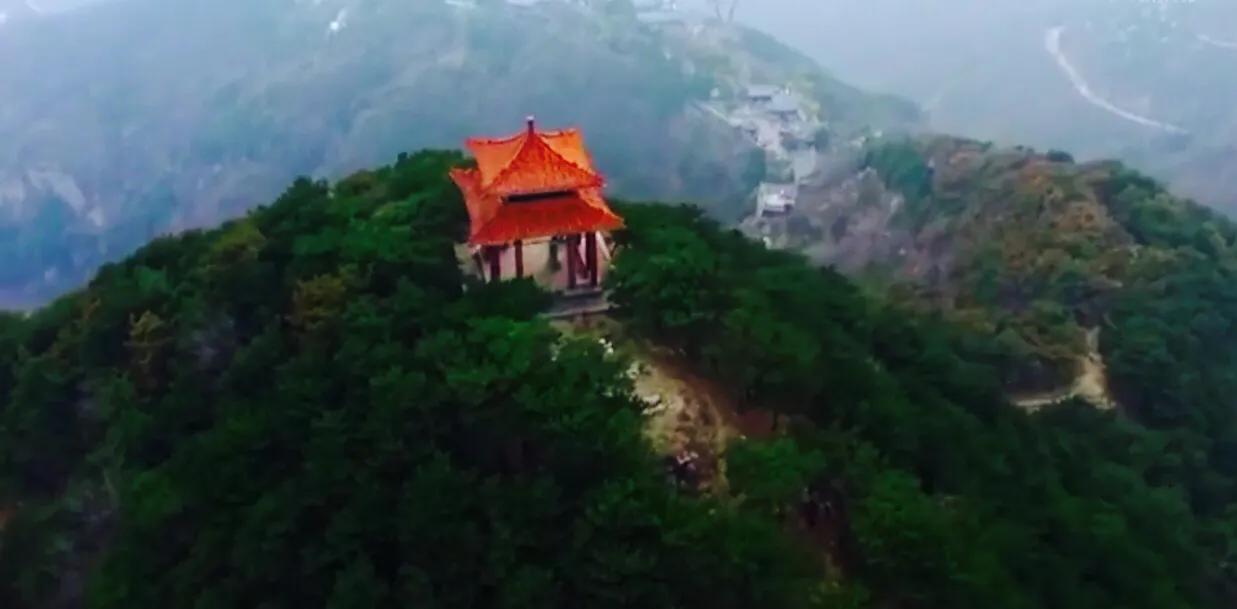 王天中真中（报告文学）