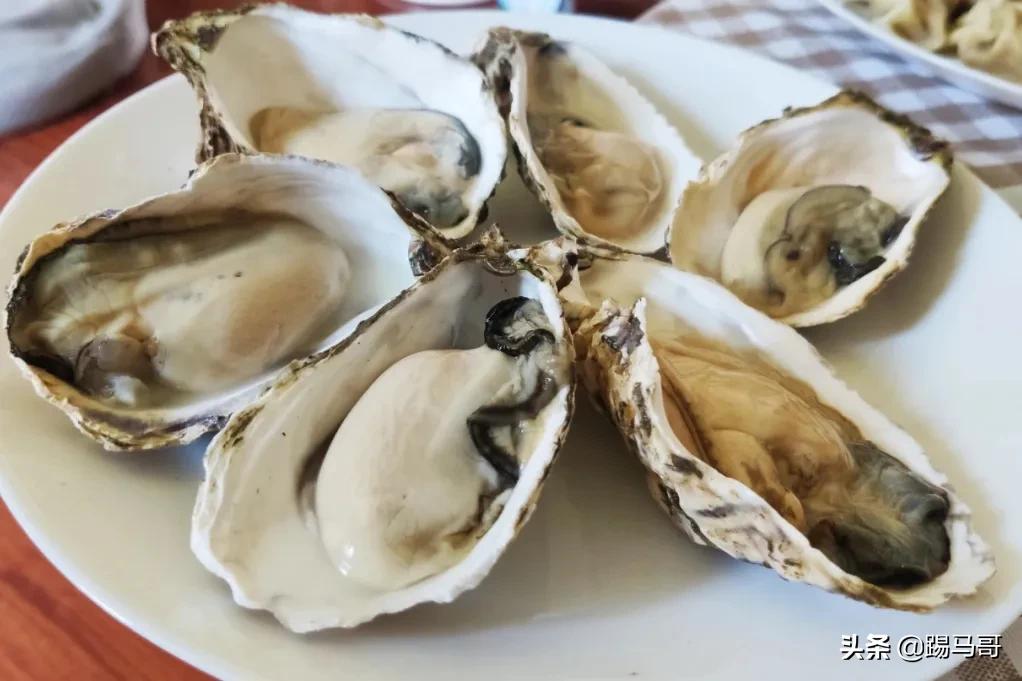 上海附近有哪些露营地可以看星星,上海周边免费露营地推荐人多