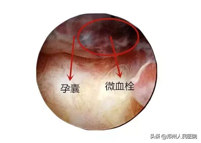 这个小镜子，照看着世上最贵的“房子”